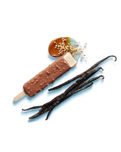 Frozen Bar Vanilla-Praline
