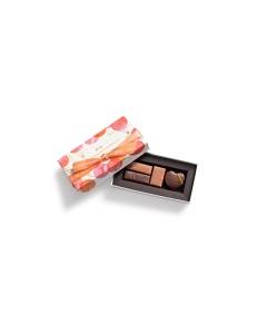Paris S’envole Gift box 4 Chocolates on white background
