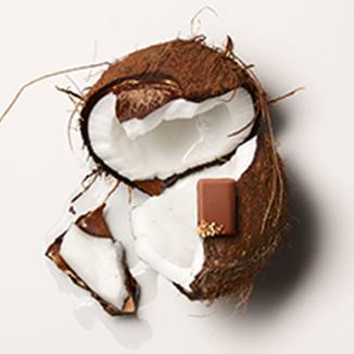 Praliné Chocolate - La Maison du Chocolat